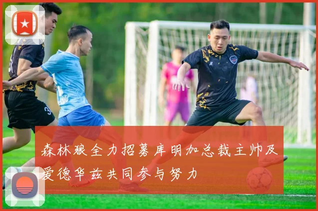 森林狼全力招募库明加总裁主帅及爱德华兹共同参与努力